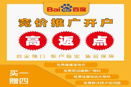 解析sem代运营公司经典案例：如何实现ROI最大化